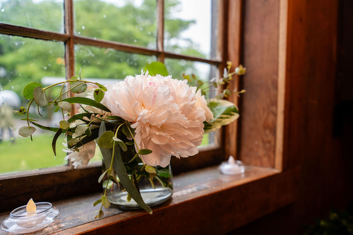 Close up of pink flower on rustic window sill.
